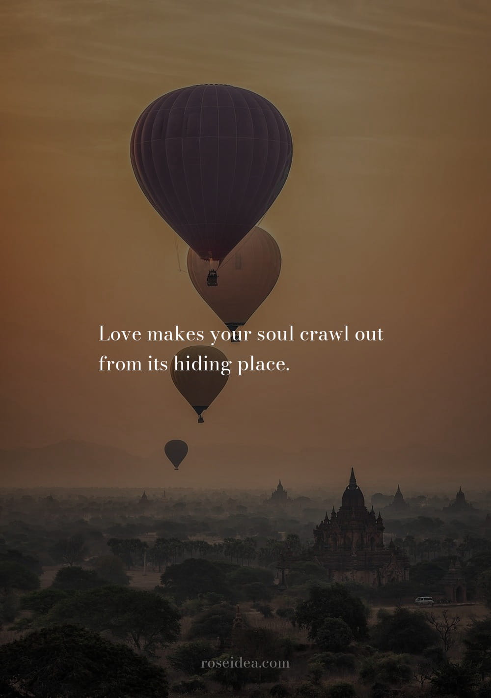 50+ Love Quotes For All To Express Your Feelings images 12