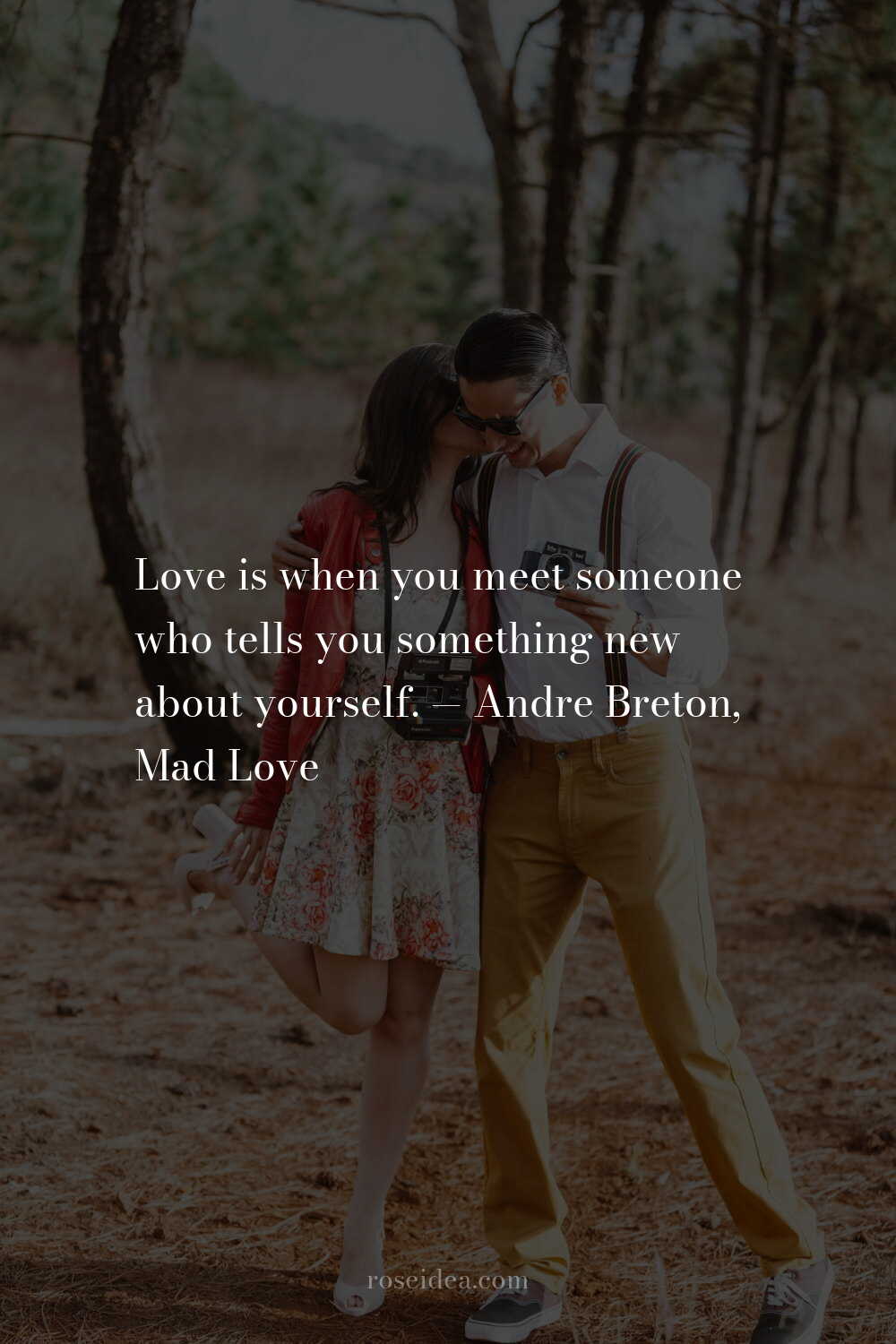 100+ Romantic Love Quotes To Melt Hearts images 11