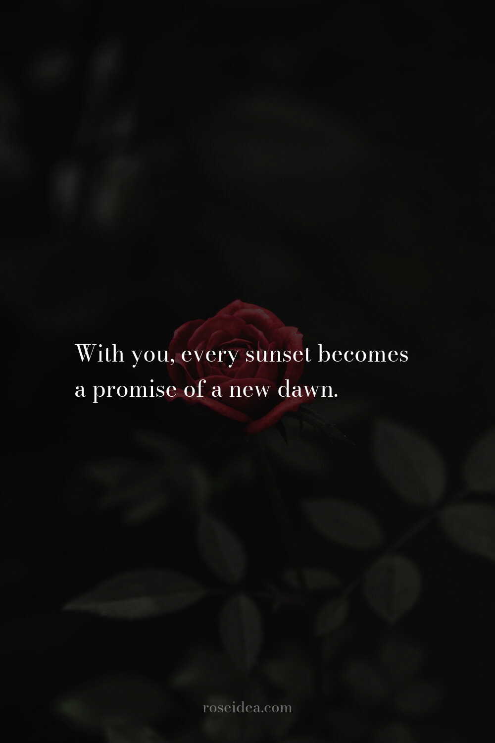 100+ Romantic Love Quotes To Melt Hearts images 28