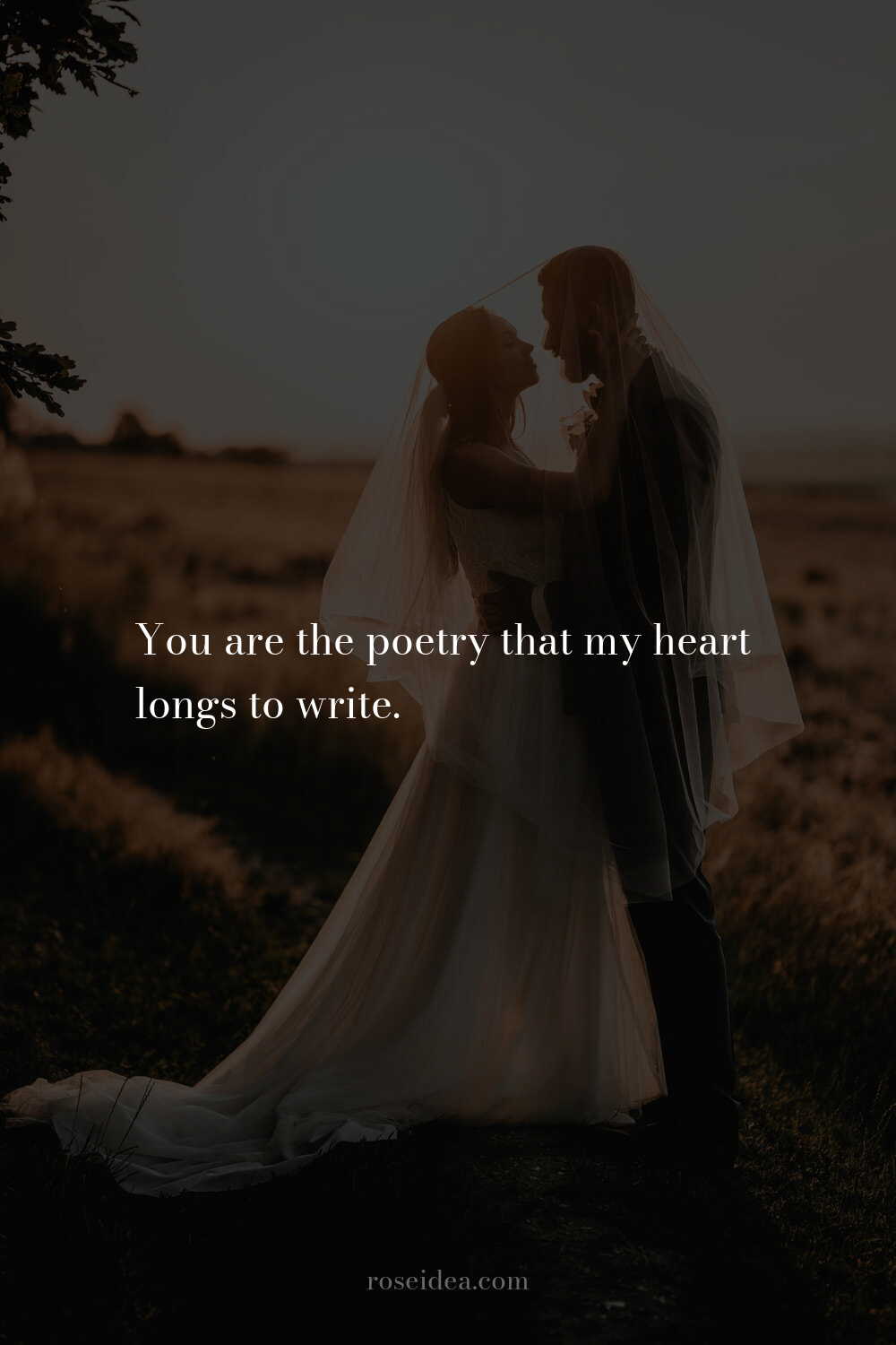 100+ Romantic Love Quotes To Melt Hearts images 37