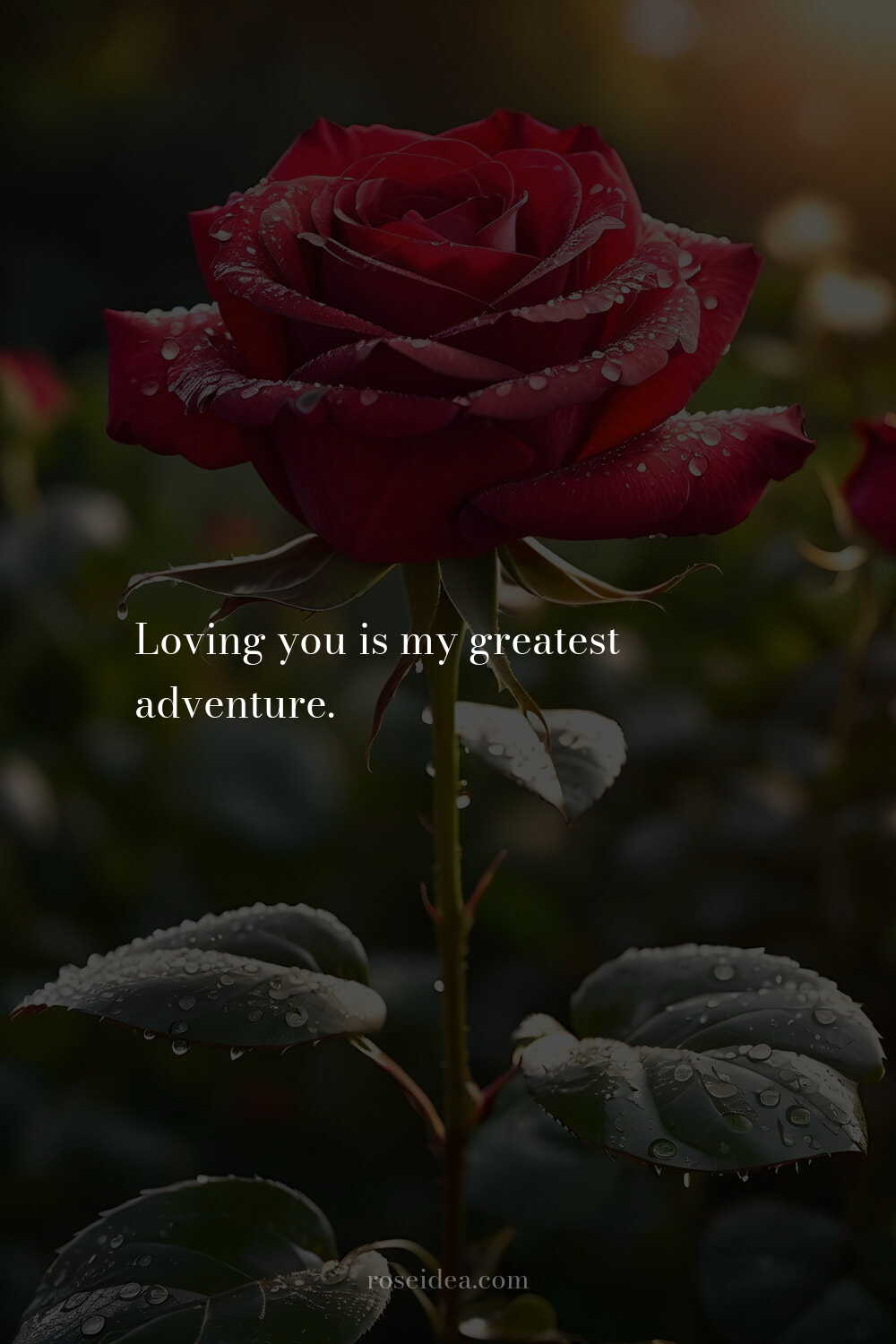 100+ Romantic Love Quotes To Melt Hearts images 40