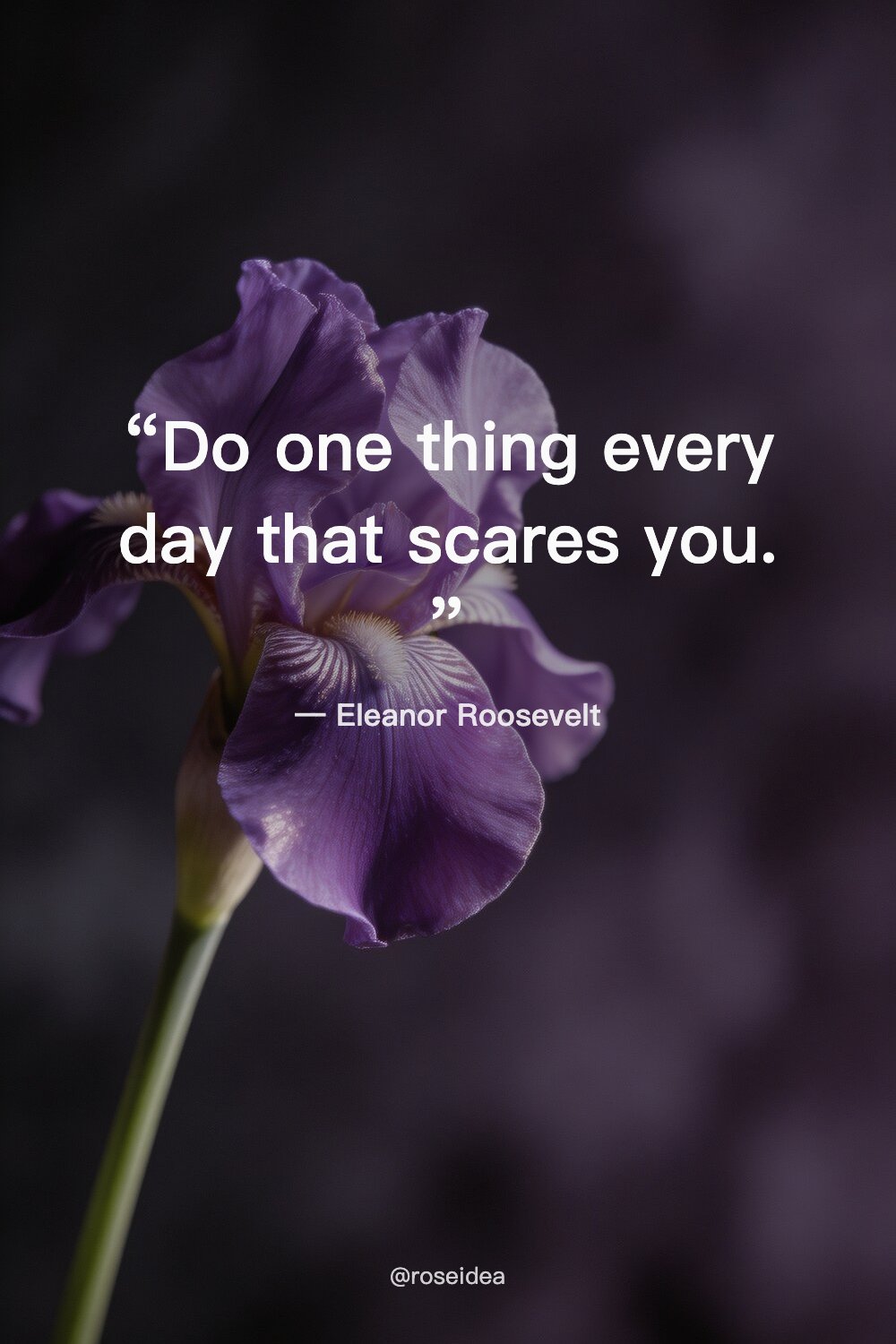 28 Motivational Quotes to Keep Going in 2026 – inspiration image 1