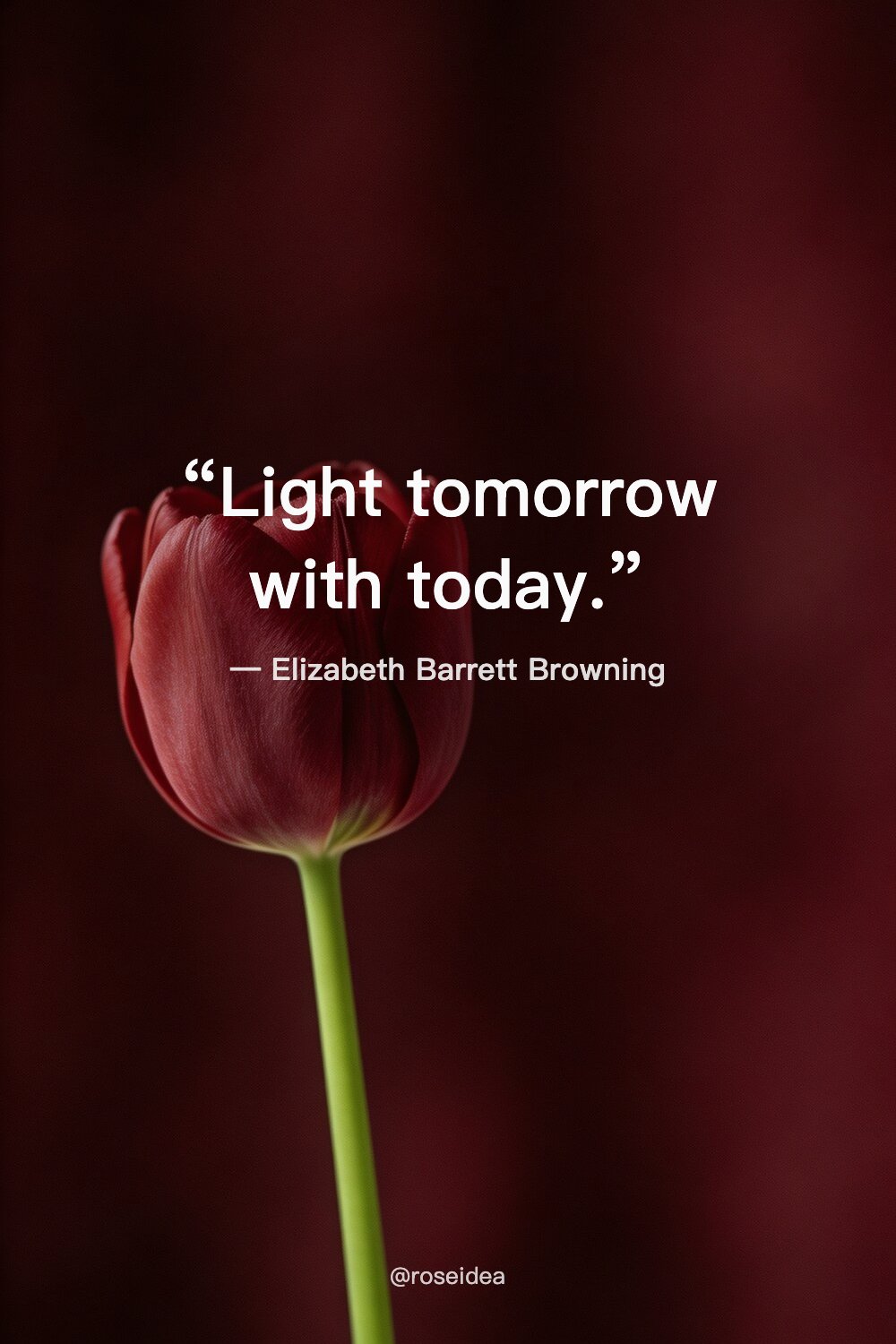 Save These 28 Motivational Quotes for Daily Focus – inspiration image 7