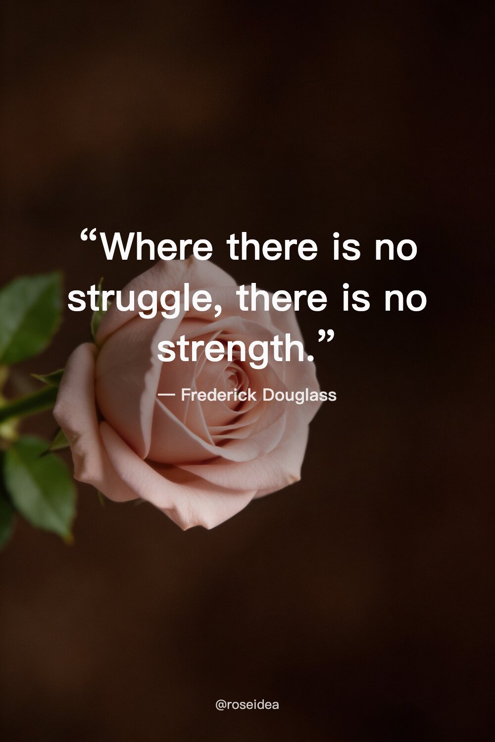 Save These 28 Motivational Quotes for Daily Focus – inspiration image 8